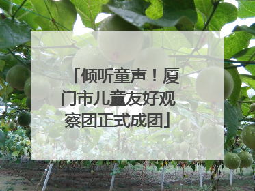 倾听童声!厦门市儿童友好观察团正式成团